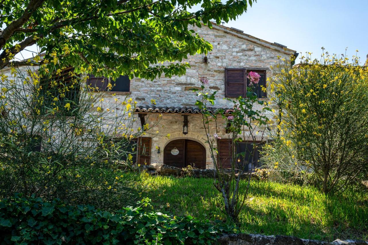 Villa Rustica Le Piagge Sassoferrato Екстер'єр фото